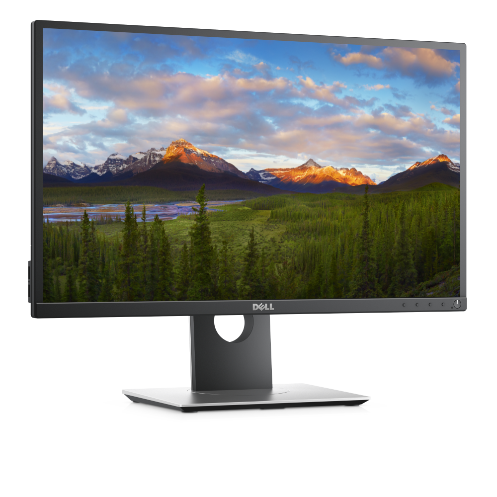 Dell Monitor P2417H FHD 24" 1080p 60Hz DisplayPort HDMI VGA