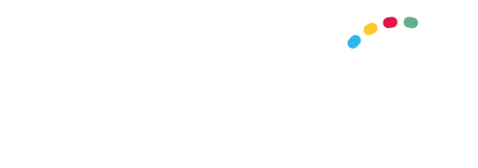 Rapid IT Logo